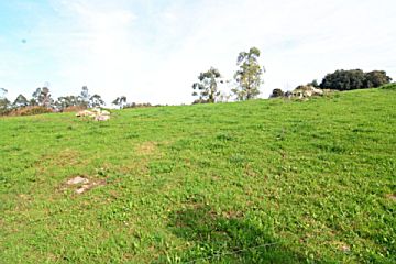 Imagen 1 Venta de terreno en Barro (Llanes (Concejo))