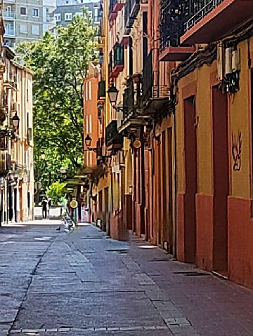 calle Venta de piso con terraza en Casco Antiguo (Zaragoza)
