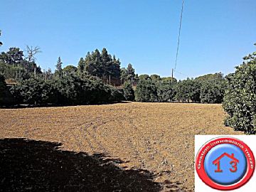 IMG_20220801_111655.jpg Venta de terrenos en Noreste (Jerez de la Frontera)